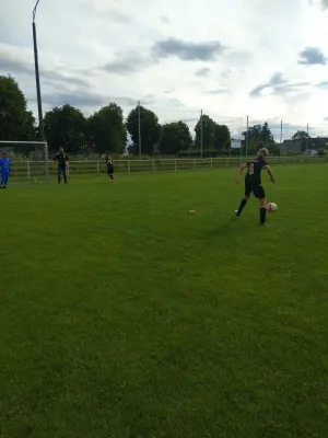 06.06.2025 SV Blau Rot Coswig vs. NSG Gräfenhainichen