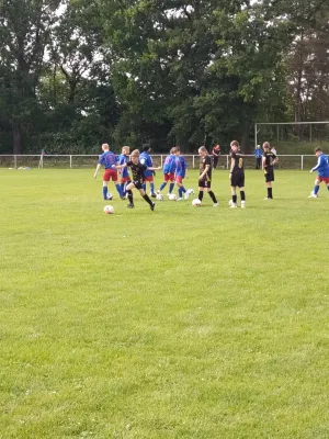 06.06.2025 SV Blau Rot Coswig vs. NSG Gräfenhainichen