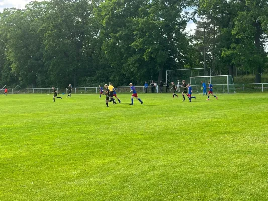06.06.2025 SV Blau Rot Coswig vs. NSG Gräfenhainichen