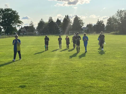 06.06.2025 SV Blau Rot Coswig vs. NSG Gräfenhainichen