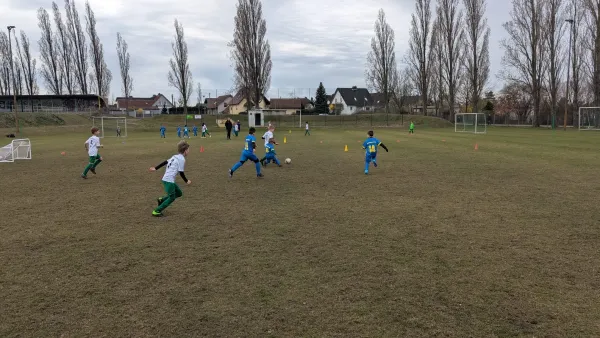 30.03.2025 NSG Gräfenhainichen II vs. JSG Heidekicker II