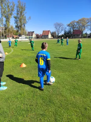 26.04.2025 Annaburg vs. NSG Gräfenhainichen II