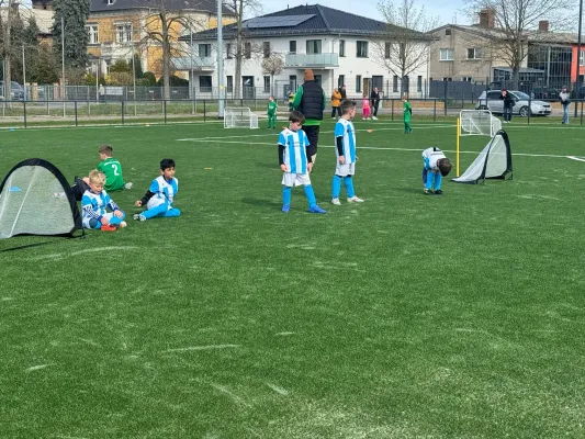 05.04.2025 Einheit Wittenberg vs. NSG Gräfenhainichen