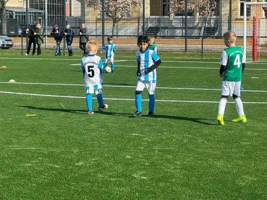 05.04.2025 Einheit Wittenberg vs. NSG Gräfenhainichen