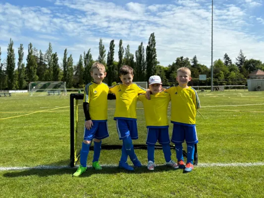 10.05.2025 SV Grün-Weiß-Wörlitz vs. NSG Gräfenhainichen