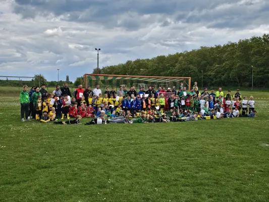 17.05.2025 SV Friedersdorf 1920 vs. NSG Gräfenhainichen