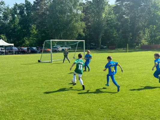 31.05.2025 HSV Gröbern 1921 vs. NSG Gräfenhainichen