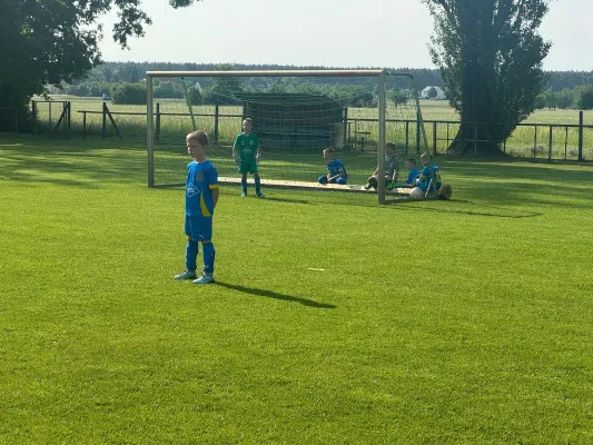 31.05.2025 HSV Gröbern 1921 vs. NSG Gräfenhainichen