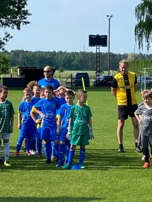 31.05.2025 HSV Gröbern 1921 vs. NSG Gräfenhainichen