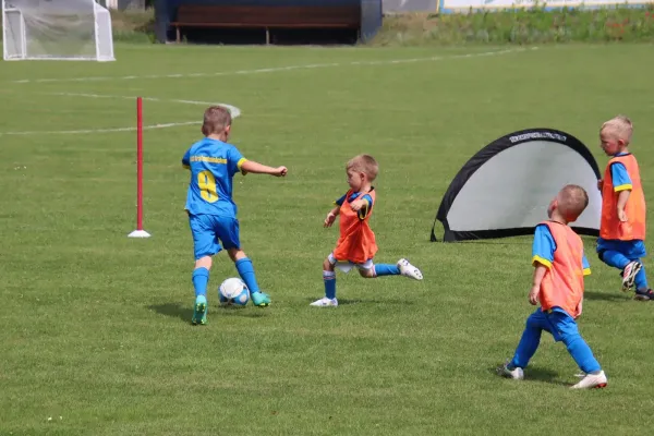15.06.2025 NSG Gräfenhainichen vs. SV Grün-Weiß-Wörlitz
