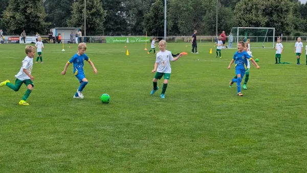 16.08.2025 SG 1919 Trebitz vs. NSG Gräfenhainichen