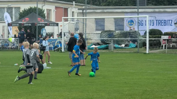 16.08.2025 SG 1919 Trebitz vs. NSG Gräfenhainichen