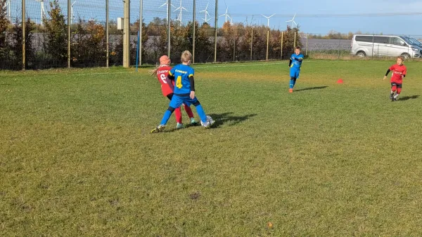 31.10.2025 Schenkenberg vs. NSG Gräfenhainichen