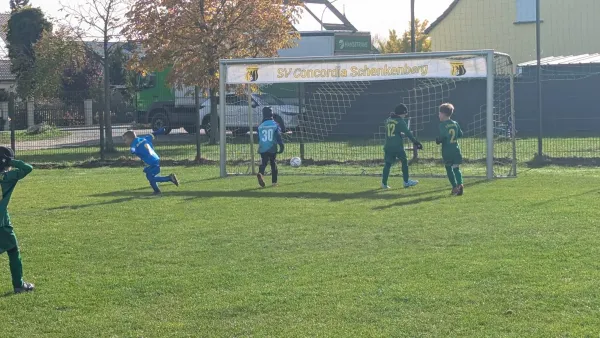 31.10.2025 Schenkenberg vs. NSG Gräfenhainichen