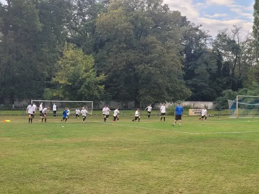 29.08.2025 Dessauer SV 97 vs. NSG Gräfenhainichen