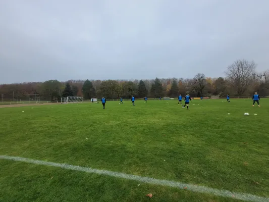 09.11.2025 NSG Gräfenhainichen vs. NFC Landsberg e.V.