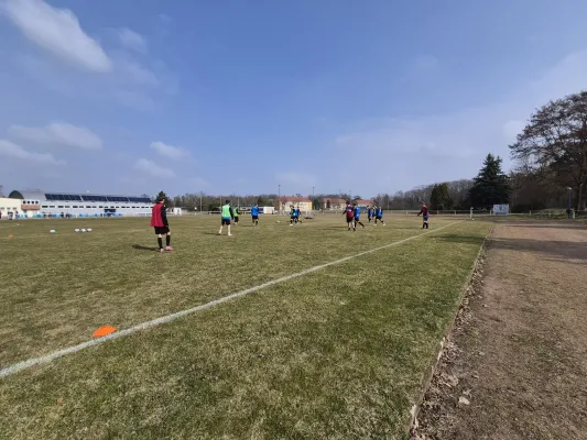 21.03.2026 NSG Gräfenhainichen vs. NSG Wald/Mild