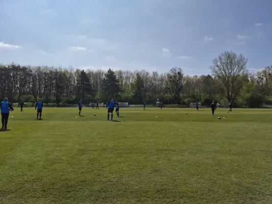 25.04.2026 NSG Gräfenhainichen vs. Dessauer SV 97