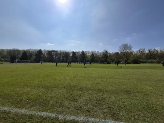 25.04.2026 NSG Gräfenhainichen vs. Dessauer SV 97