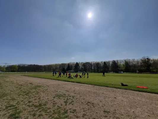 25.04.2026 NSG Gräfenhainichen vs. Dessauer SV 97