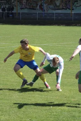 25.04.2026 VfB Gräfenhainichen vs. LSG Lieskau 1920