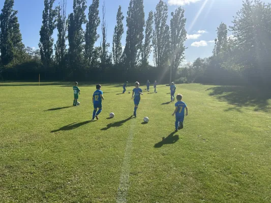 24.08.2025 Bitterfeld-Wolfen vs. NSG Gräfenhainichen