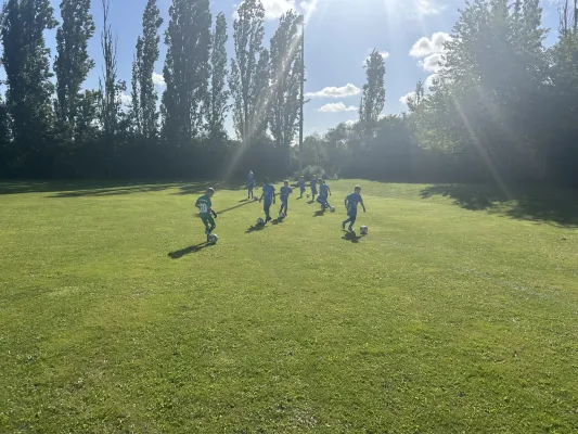 24.08.2025 Bitterfeld-Wolfen vs. NSG Gräfenhainichen