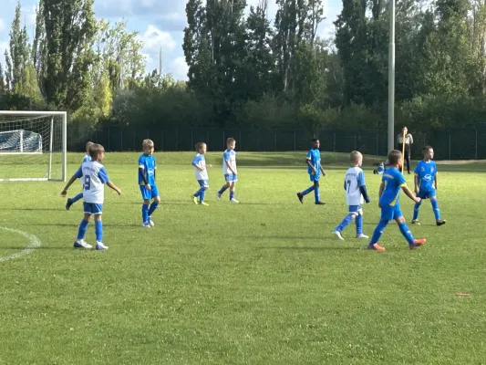 24.08.2025 Bitterfeld-Wolfen vs. NSG Gräfenhainichen