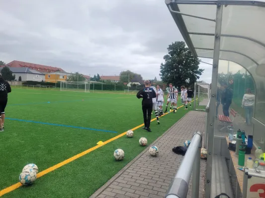 17.08.2025 TSV Rot- Weiß Zerbst vs. NSG Gräfenhainichen