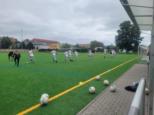 17.08.2025 TSV Rot- Weiß Zerbst vs. NSG Gräfenhainichen