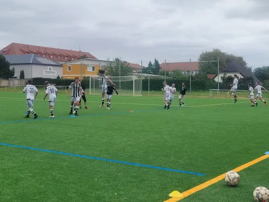 17.08.2025 TSV Rot- Weiß Zerbst vs. NSG Gräfenhainichen