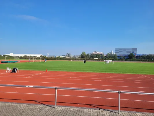 28.09.2025 NSG Jessen/Annaburg vs. NSG Gräfenhainichen