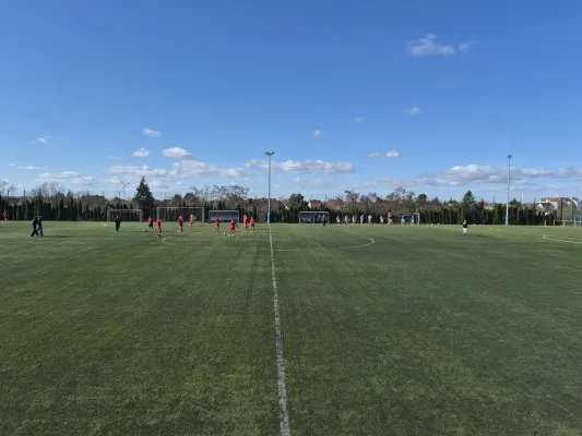 01.03.2026 SG Rot Weiß Thalheim vs. NSG Gräfenhainichen