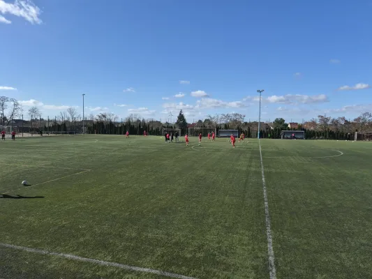 01.03.2026 SG Rot Weiß Thalheim vs. NSG Gräfenhainichen