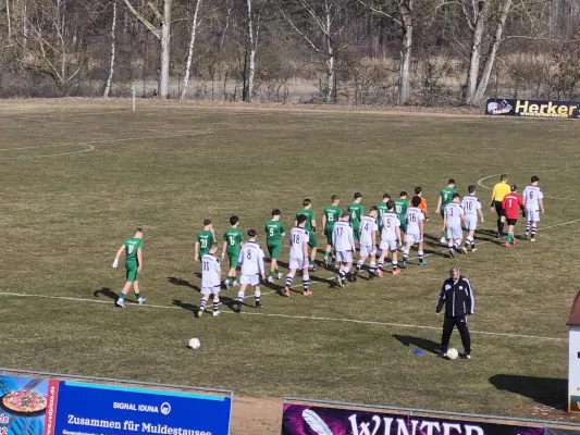 07.03.2026 NSG Gräfenhainichen vs. Piesteritz