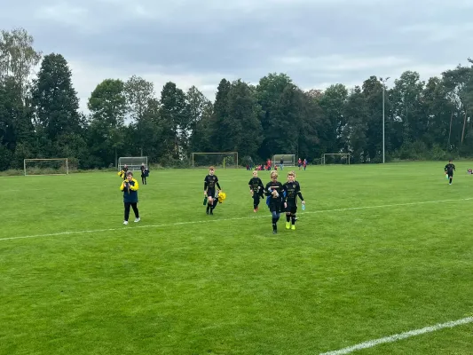 27.09.2025 NSG Gräfenhainichen II vs. SV Blau Rot Coswig