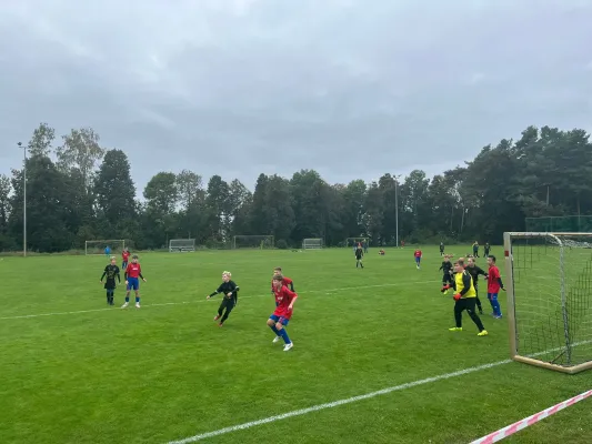 27.09.2025 NSG Gräfenhainichen II vs. SV Blau Rot Coswig