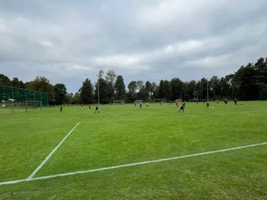27.09.2025 NSG Gräfenhainichen II vs. SV Blau Rot Coswig