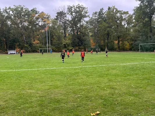 10.10.2025 Hellas 09 vs. NSG Gräfenhainichen II