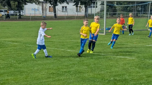 30.08.2025 NSG Gräfenhainichen vs. NSG Gräfenhainichen II