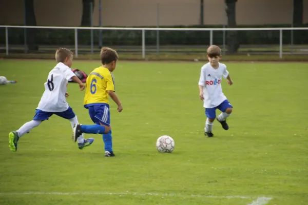 30.08.2025 NSG Gräfenhainichen vs. NSG Gräfenhainichen II