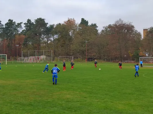 09.11.2025 FSV Bad Schmiedeberg vs. NSG Gräfenhainichen II