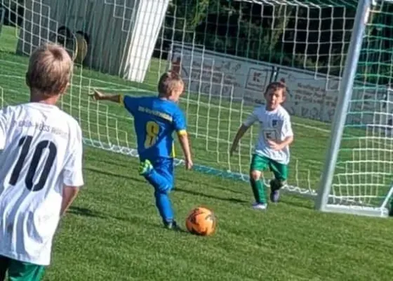 06.09.2025 SV Grün-Weiß-Wörlitz vs. NSG Gräfenhainichen