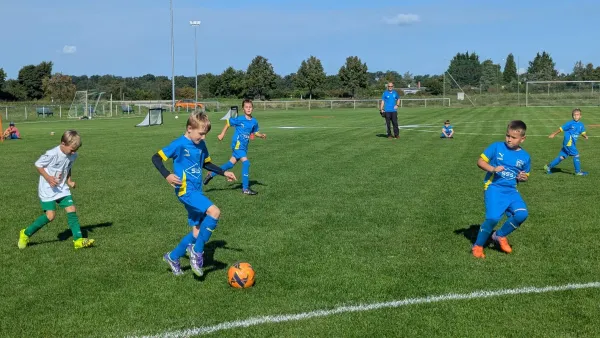 06.09.2025 SV Grün-Weiß-Wörlitz vs. NSG Gräfenhainichen