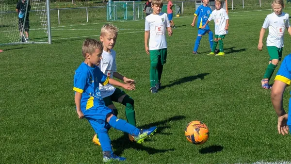 06.09.2025 SV Grün-Weiß-Wörlitz vs. NSG Gräfenhainichen