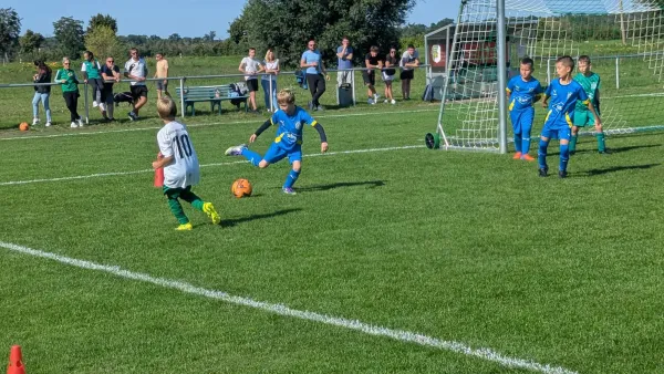 06.09.2025 SV Grün-Weiß-Wörlitz vs. NSG Gräfenhainichen