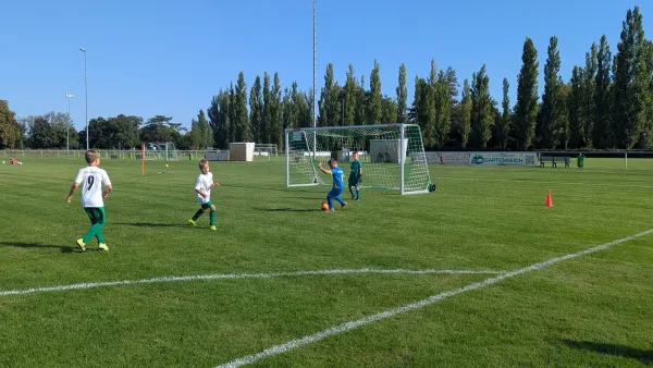 06.09.2025 SV Grün-Weiß-Wörlitz vs. NSG Gräfenhainichen