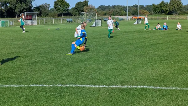 06.09.2025 SV Grün-Weiß-Wörlitz vs. NSG Gräfenhainichen