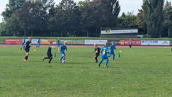 13.09.2025 Victoria Wittenberg III vs. NSG Gräfenhainichen