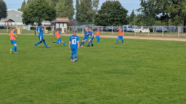 21.09.2025 NSG Gräfenhainichen vs. SG Pretzsch/Trebitz